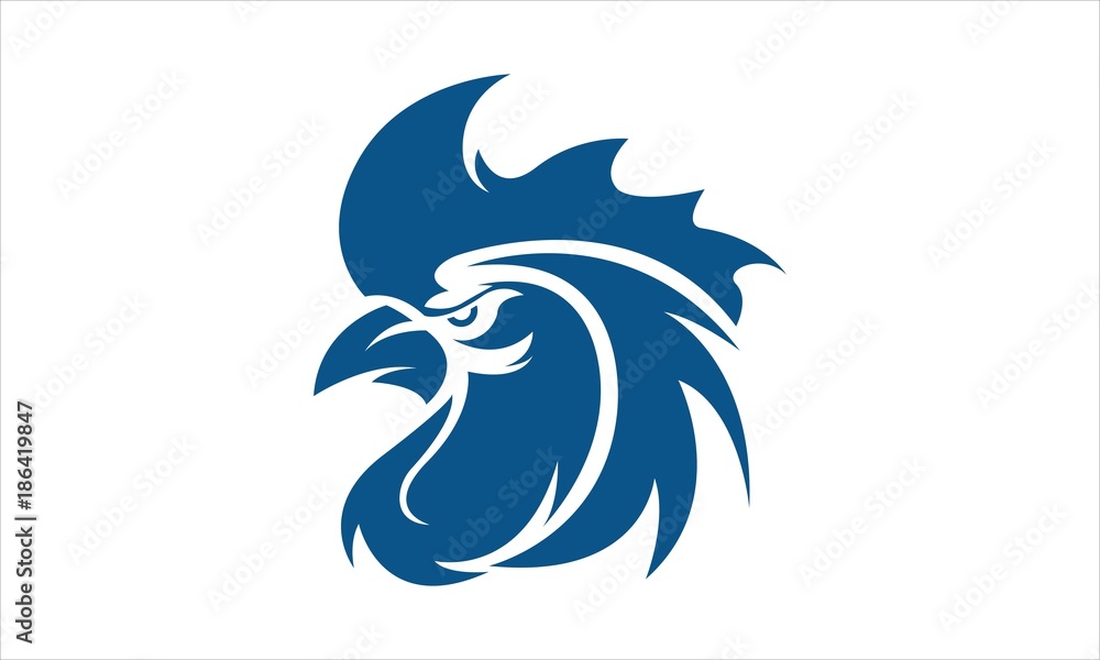 Obraz premium Chicken Rooster