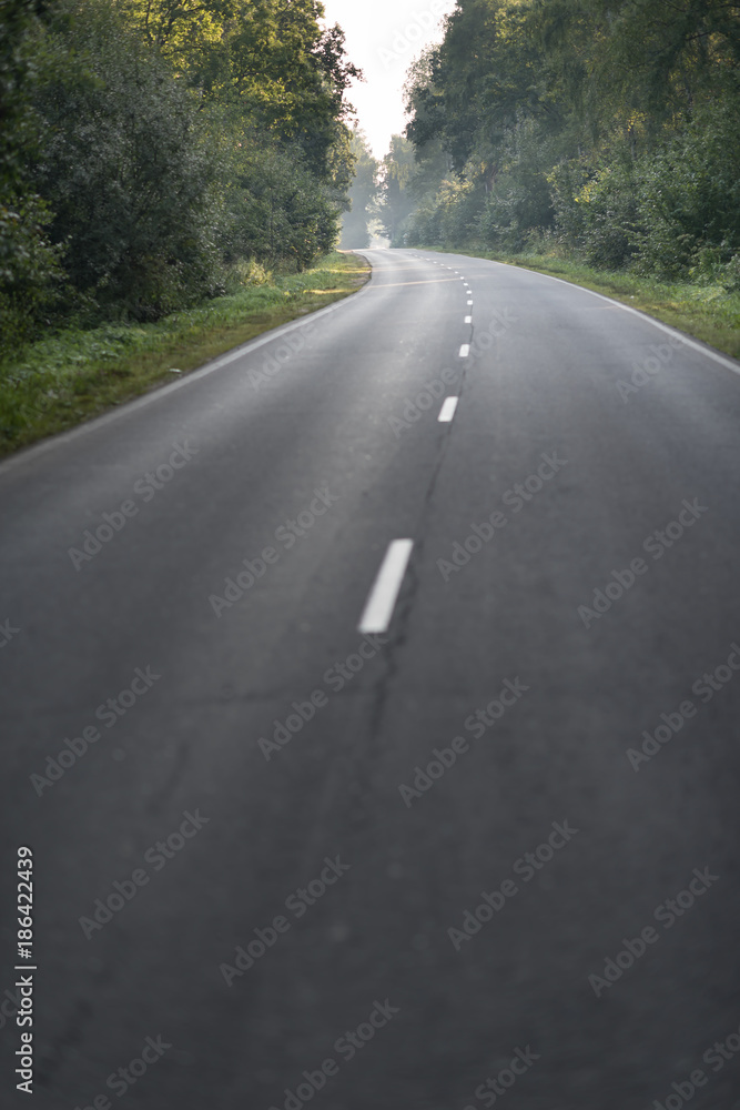 Empty asphalt road in the misty forest