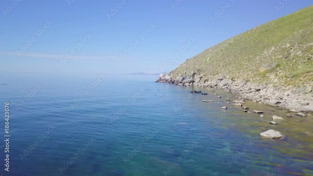 ProRes. Seals resting on rocks. Seal in the ocean. ProRes. Seals resting on rocks. Seal in the ocean.