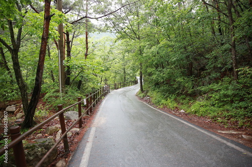 A driving course in the mountains