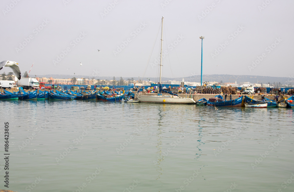Essaouira morocco, beach, sea, port, fishing boats, people, coastal city