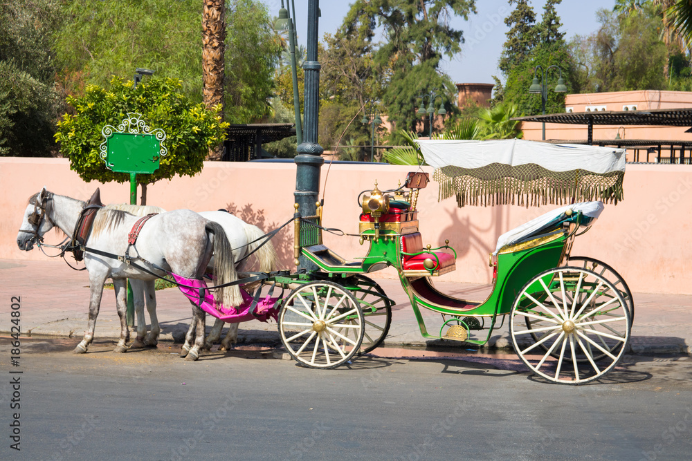 street life Morocco Marrakech, herbs, work, donkeys, horses, cooking, market, handicrafts, transport