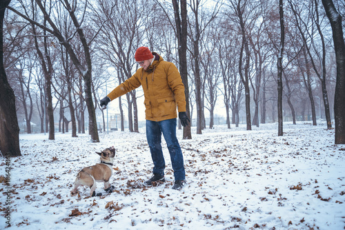 French Bulldog dog playingin the winter with man photo