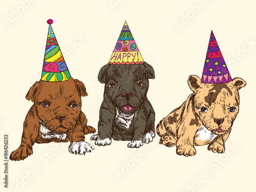 Three happy puppies in party hat, brown with white patches, hand drawn doodle sketch, isolated vector illustration, greeting card design