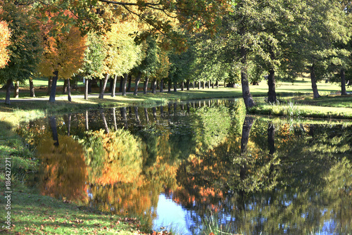 Photography Water channel in a park at autumn