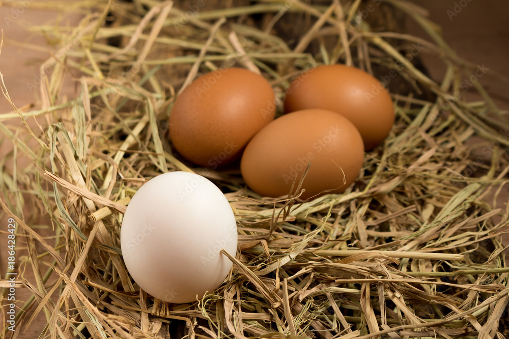 egg. straw. on wood egg. straw. on wood