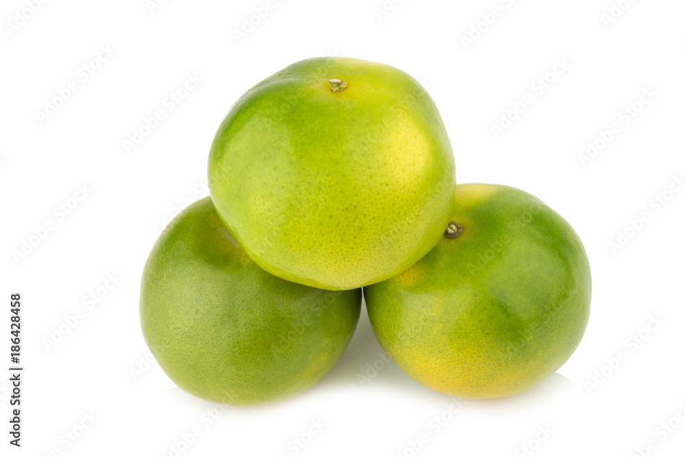 tangerine. sweet orange. on white background tangerine. sweet orange. on white background