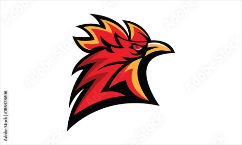 Chicken Rooster