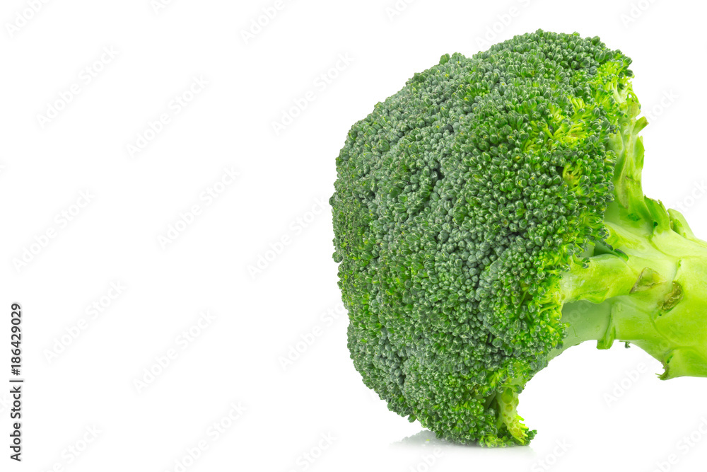 broccoli isolated on white background. closeup header. broccoli isolated on white background. closeup header.
