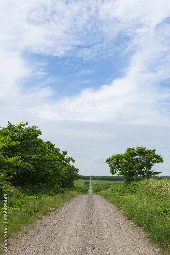 Gravel road through the countryside of the Kiritappu Wetlands, Hokkaido, Japan