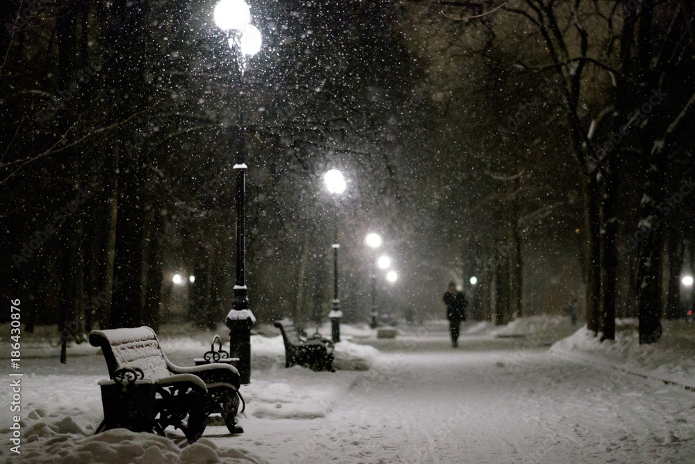 Beautiful snowy night park with benches at blizzard with lots of snowflakes in a night street light.