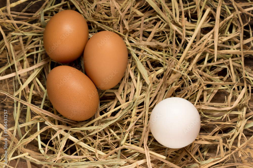 egg. straw. on wood egg. straw. on wood