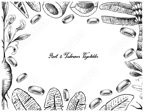 Hand Drawn Frame of Root and Tuberous Vegetables