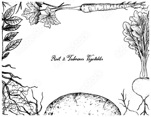 Hand Drawn Frame of Root and Tuberous Vegetables
