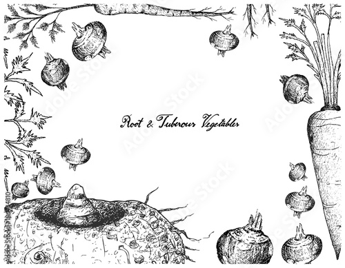 Hand Drawn Frame of Root and Tuberous Vegetables