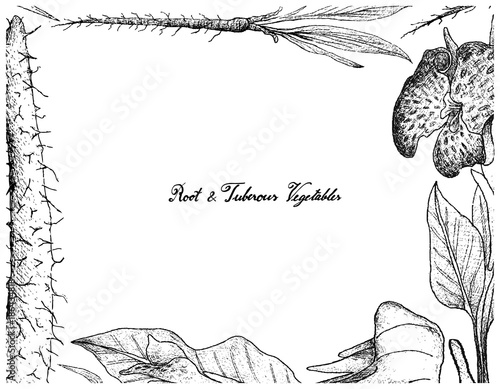 Hand Drawn Frame of Root and Tuberous Vegetables