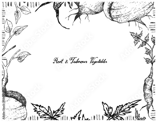 Hand Drawn Frame of Jicama or Arracachaon