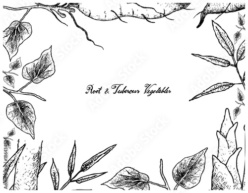 Hand Drawn Frame of Sweet Potato and Bamboo Shoot