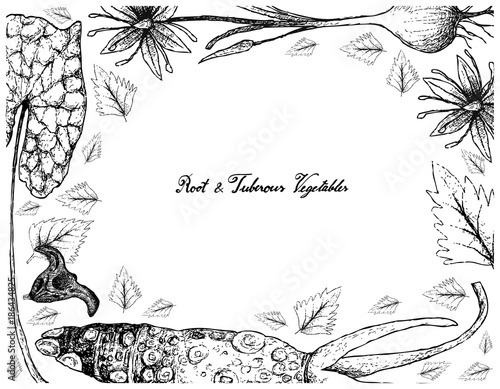 Hand Drawn Frame of Root and Tuberous Vegetables