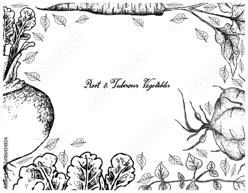 Hand Drawn Frame of Root and Tuberous Vegetables photo