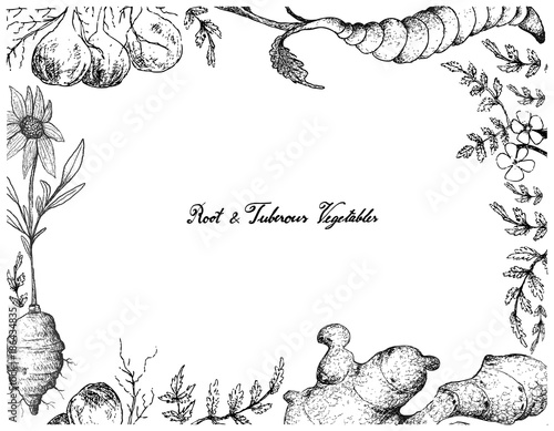 Hand Drawn Frame of Root and Tuberous Vegetables
