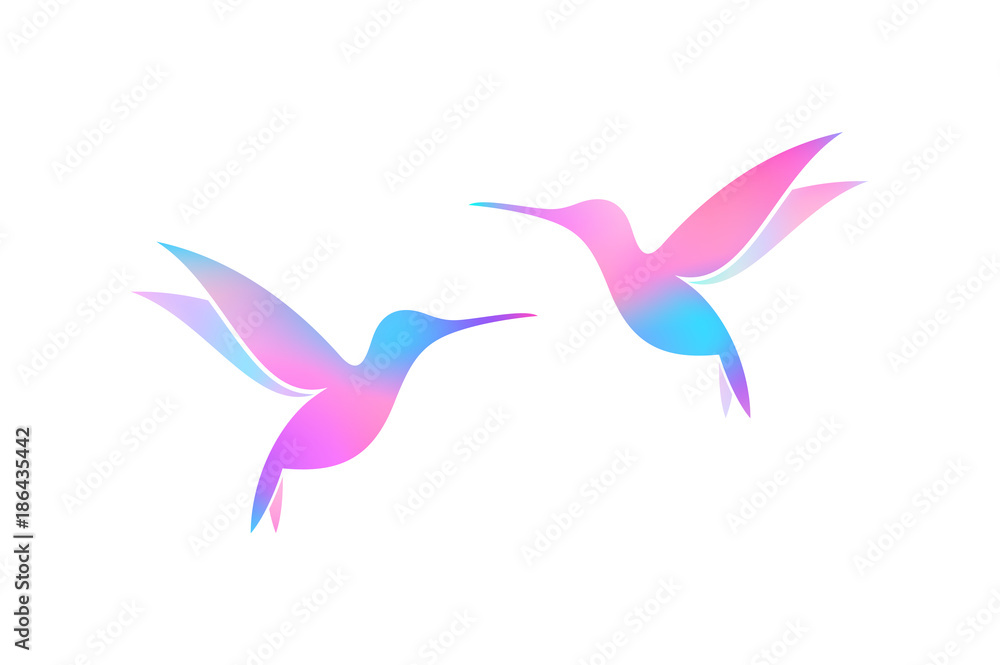 Flying hummingbirds. Colorful birds on white background Flying hummingbirds. Colorful birds on white background