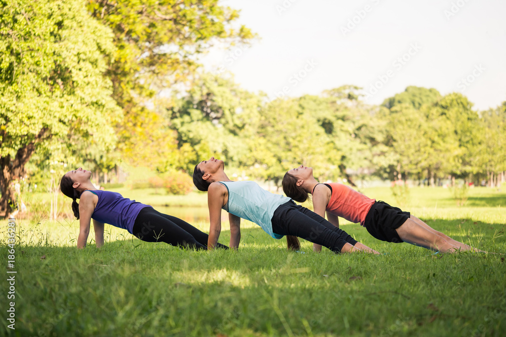 Obraz premium Group of women doing yoga exercises in the park. Concept of healthy lifestyle.