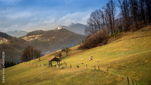 Mountain Landscape and Sheep in Slovenia 