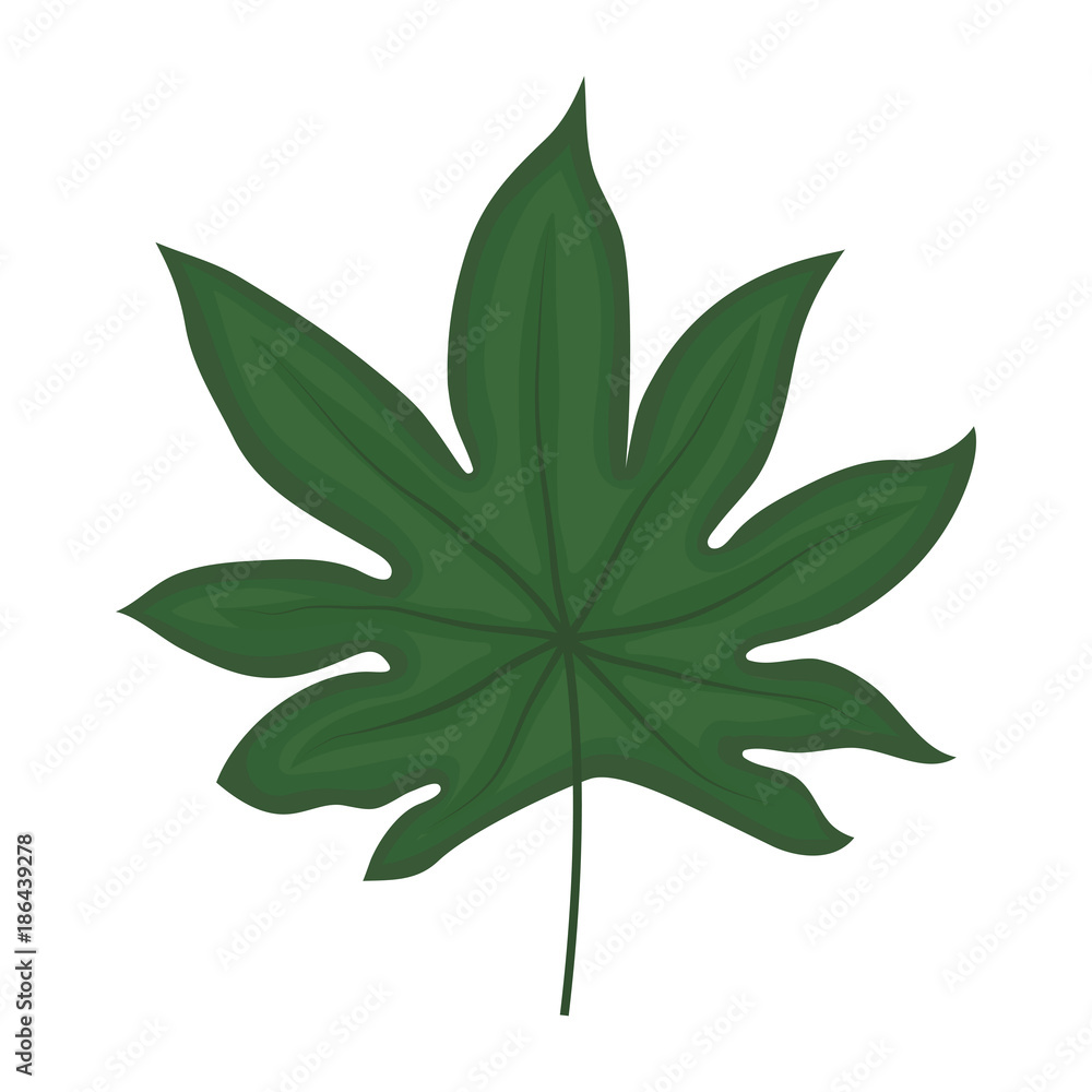 Leaf eco symbol Leaf eco symbol