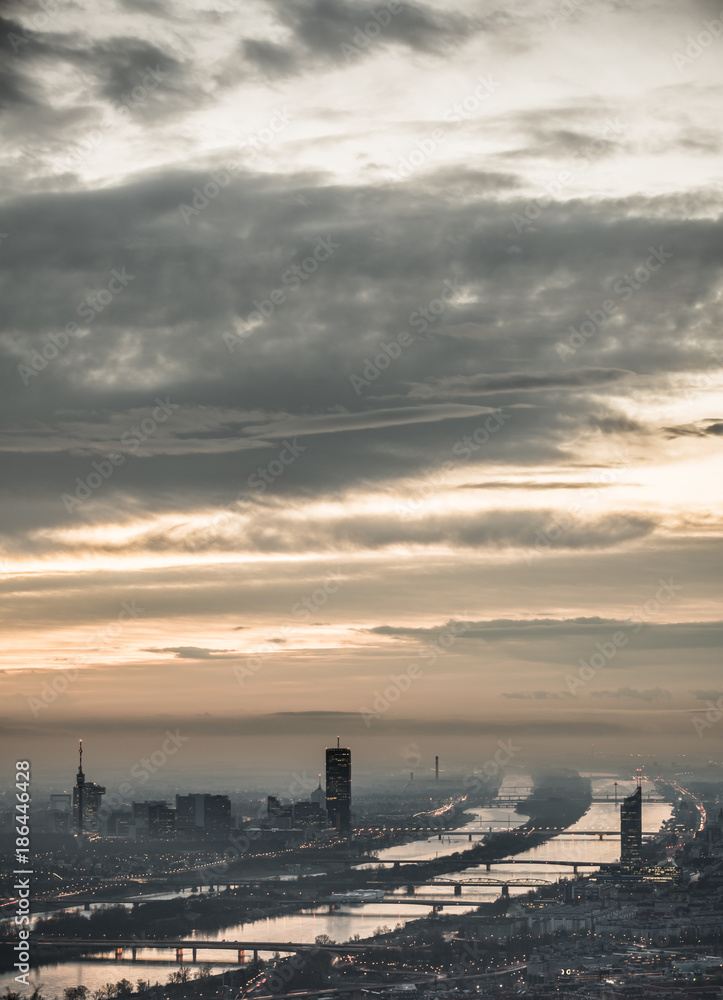Skyline of Vienna Portrait Format