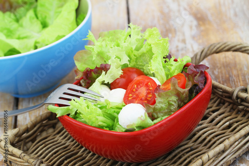 Mozzarella salad with cherry tomatoes and lettuce, closeup 