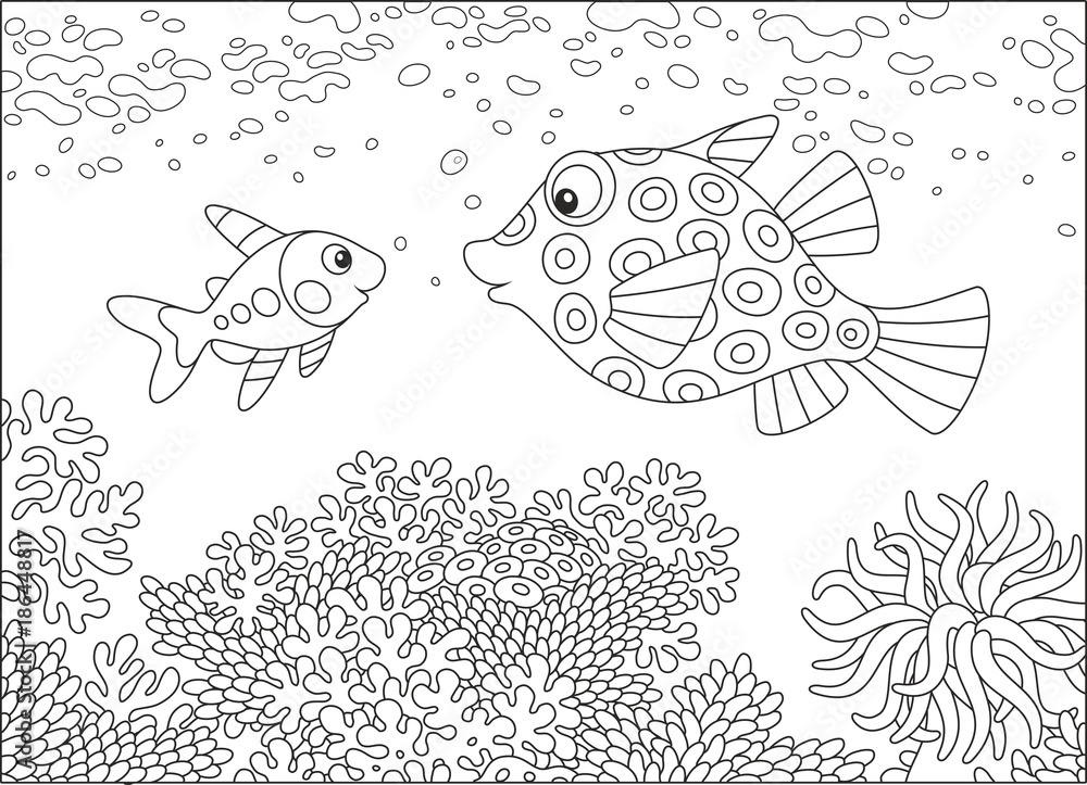 Fototapeta premium A funny boxfish and an x-ray fish swimming over an amazing coral reef in a tropical sea, a black and white vector illustration in cartoon style for a coloring book