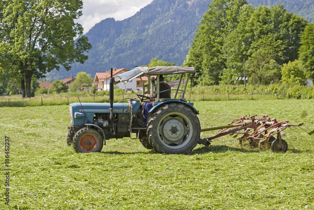 Fototapeta premium Bauer bei der Heuernte