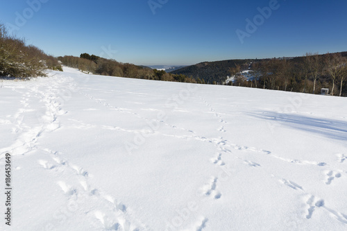 Funny Snow Tracks in the Eifel, Germany