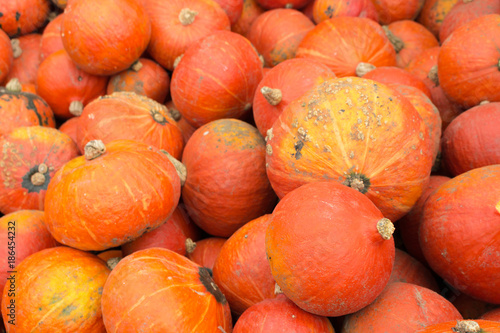 a very big stack of pumpkins