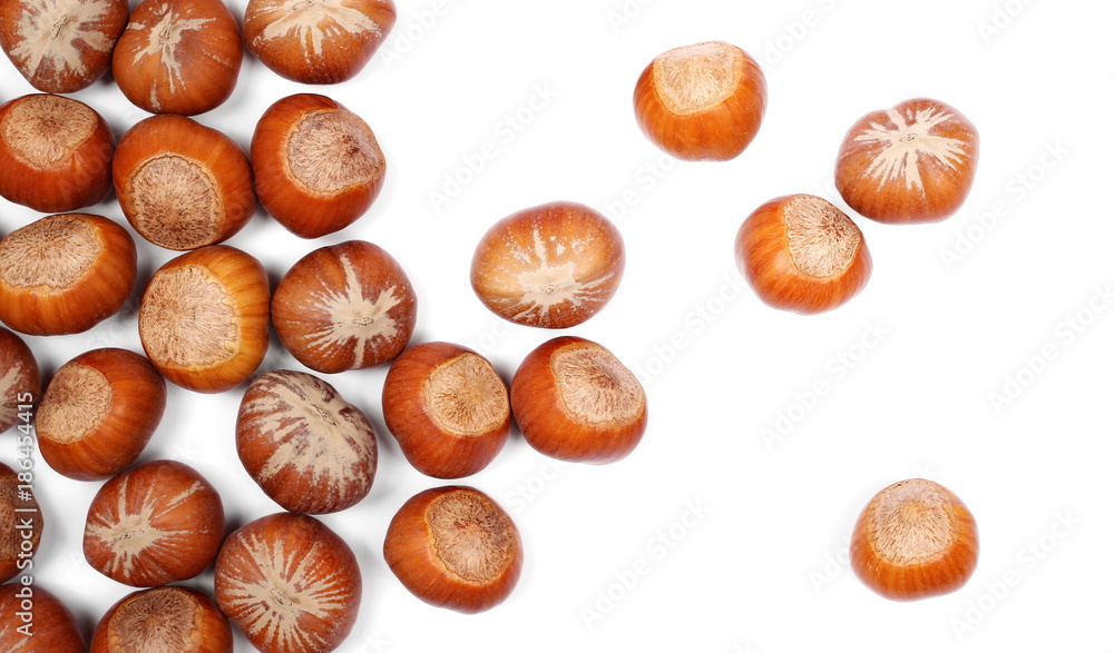 Hazelnuts isolated on white background, top view Hazelnuts isolated on white background, top view