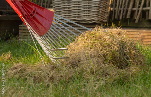 Canvas-taulu Closeup of a rake with rests of old grass