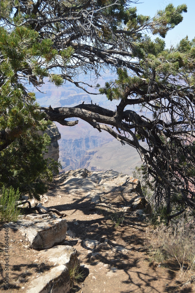 Obraz premium Grand Canyon Of The Colorado River. South Kaibab Trailhead. Geological formations. June 22, 2017. Grand Canyon, Arizona, USA. EEUU.