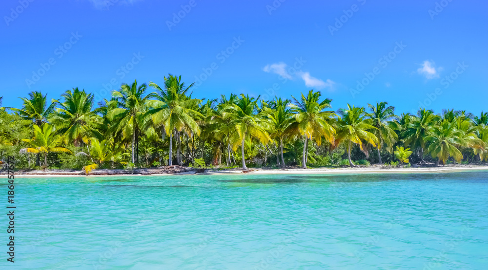 Tropical Beach with Coconut Palm Trees, panoramic view with much copy space
