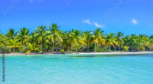 Tropical Beach with Coconut Palm Trees, panoramic view with much copy space