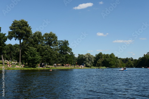 Shibaevsky pond in the natural-historical park "Kuzminki-Lublino".