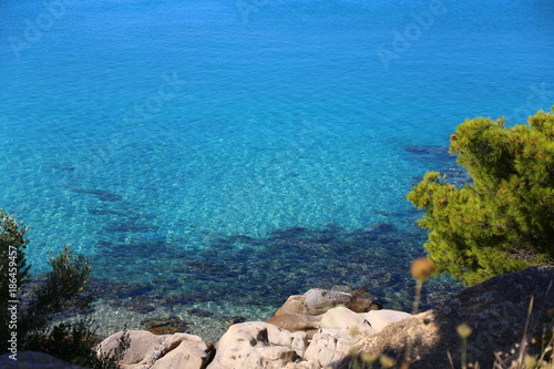 View of the clear azure water and stones with green coniferous trees. (Sithonia, Halkidiki, Greece).