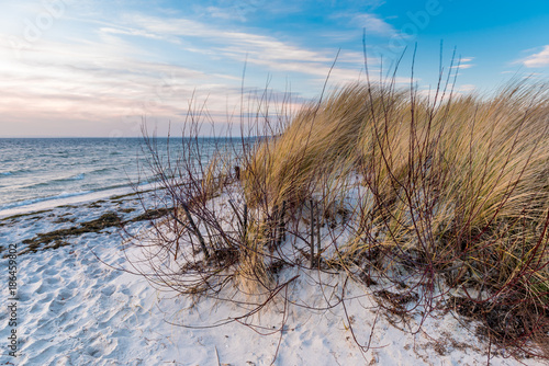 Fototapeta Naklejka Na Ścianę i Meble -  Sand dunes on the beach of Baltic Sea. Hel Peninsula. Poland.
