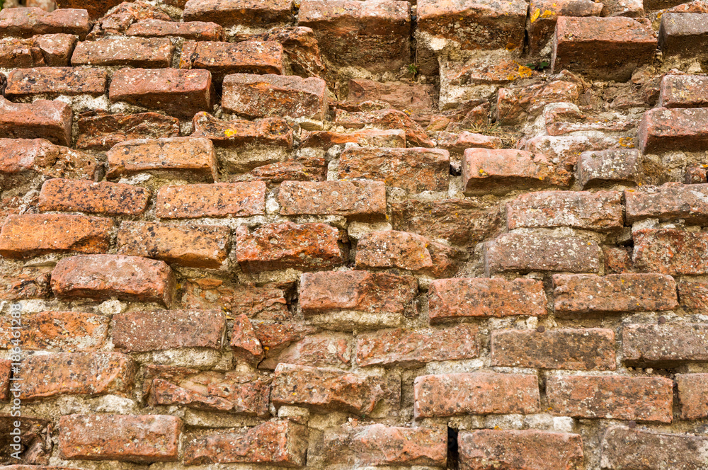 Naklejka premium brick wall 