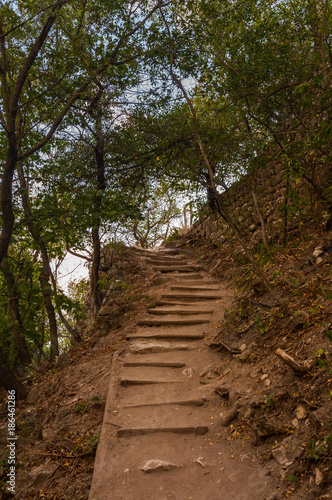stone stairs uphill with trees