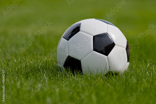 Soccer ball or football ball on green field © Ferenc