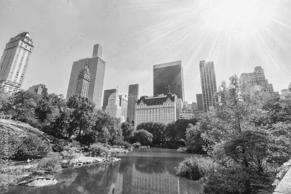 Central park with skyline of Manhattan in background