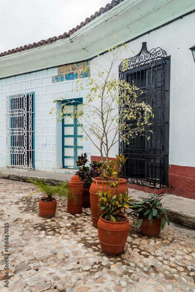 Decorative plants at a cobbled street in Sancti Spiritus, Cuba