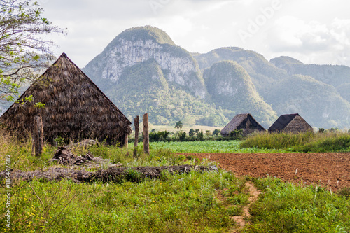 Landscape of tobacco fields and drying houses near Vinales, Cuba © Matyas Rehak