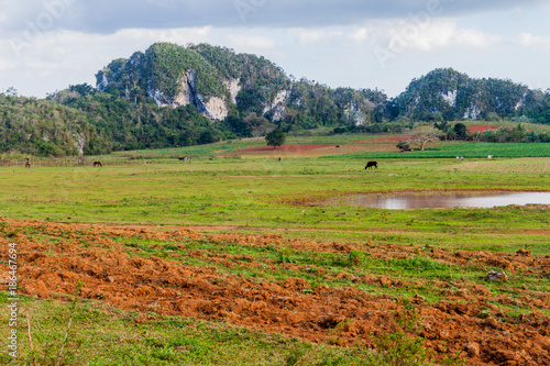 Rural landscape of Guasasa valley near Vinales, Cuba © Matyas Rehak
